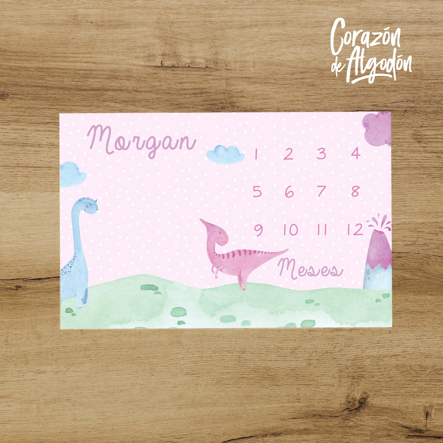 Manta mensual Dinosaurios rosas Morgan